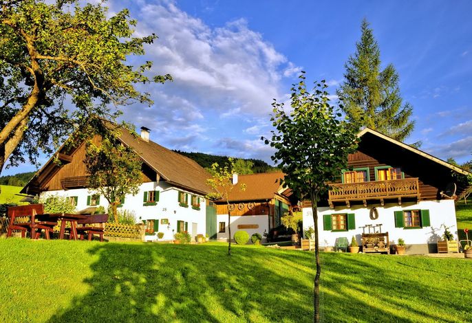 Ferienwohnung Schafberg