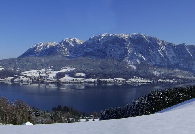 Ferienwohnung Schafberg