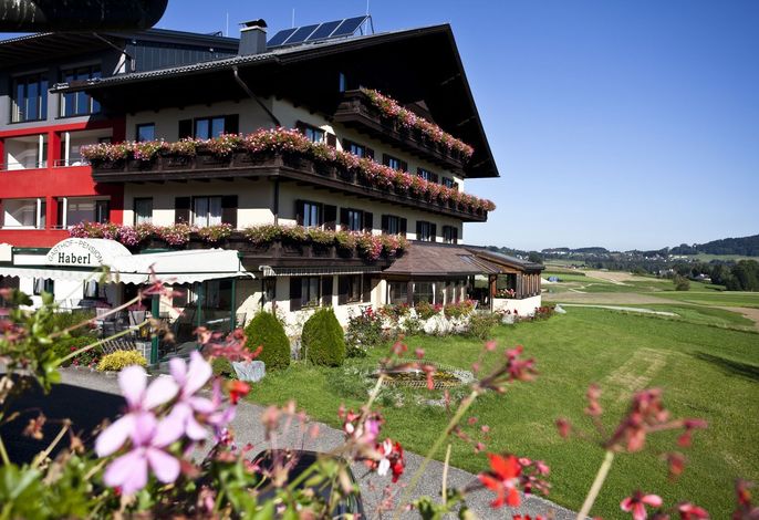 Bild 20