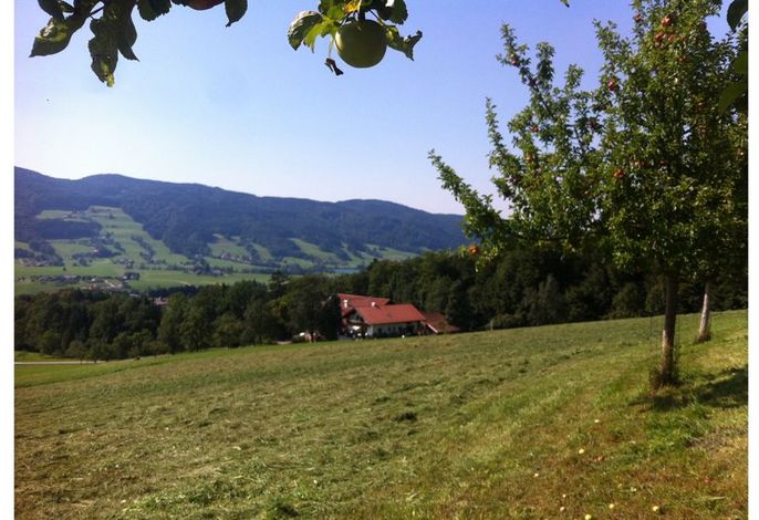 Bild 16