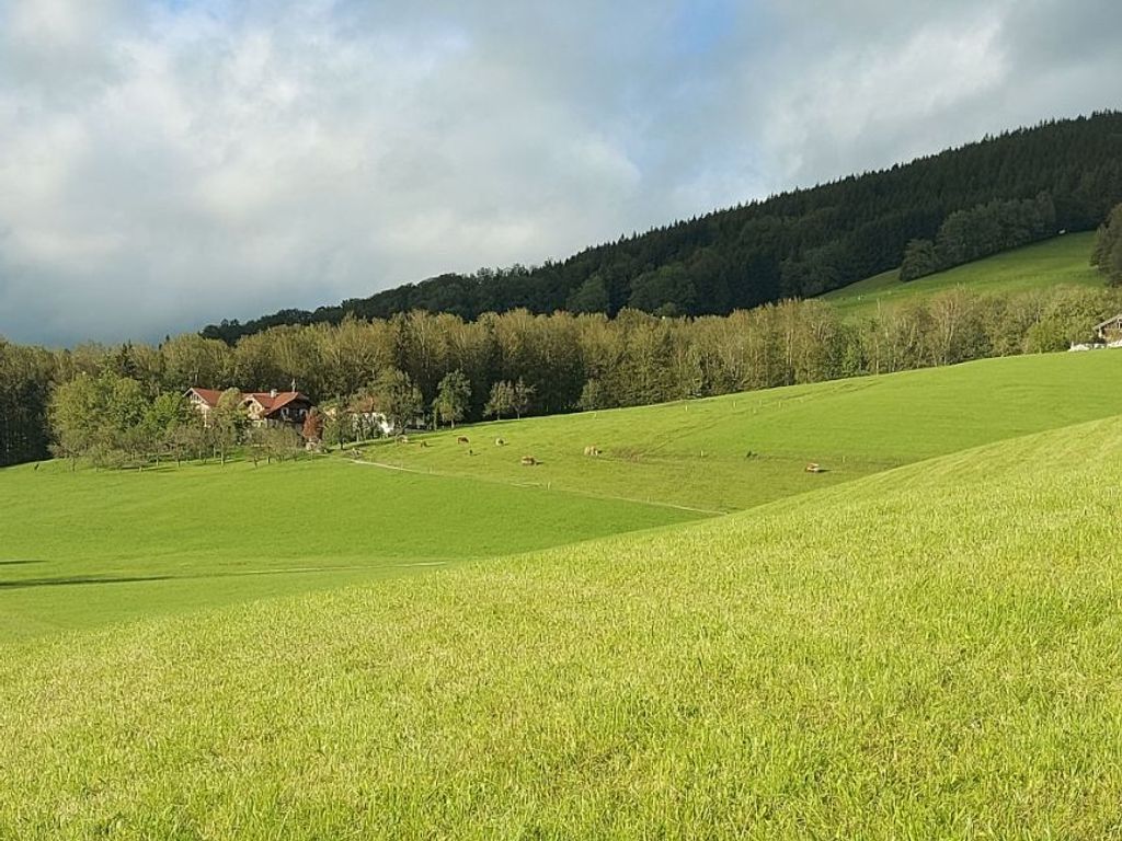Bio Bauernhof Mondsee Schafleitner-Kroiß