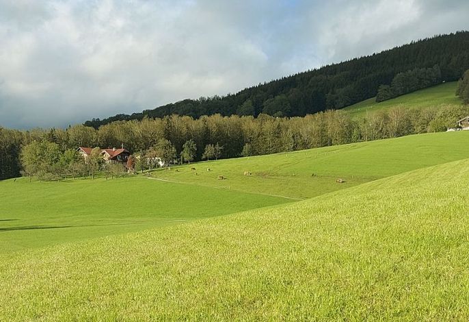 Bild 10