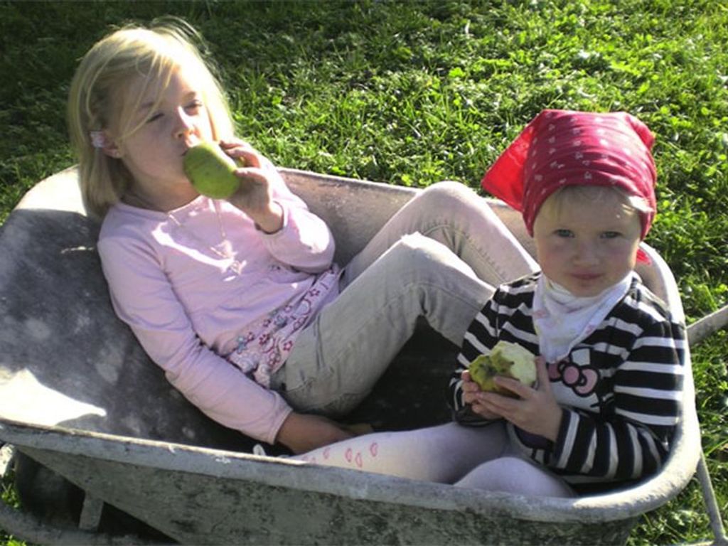 Ferienhof Mayrhofer