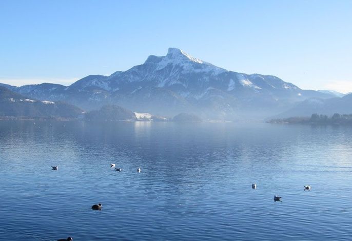 Bild 13