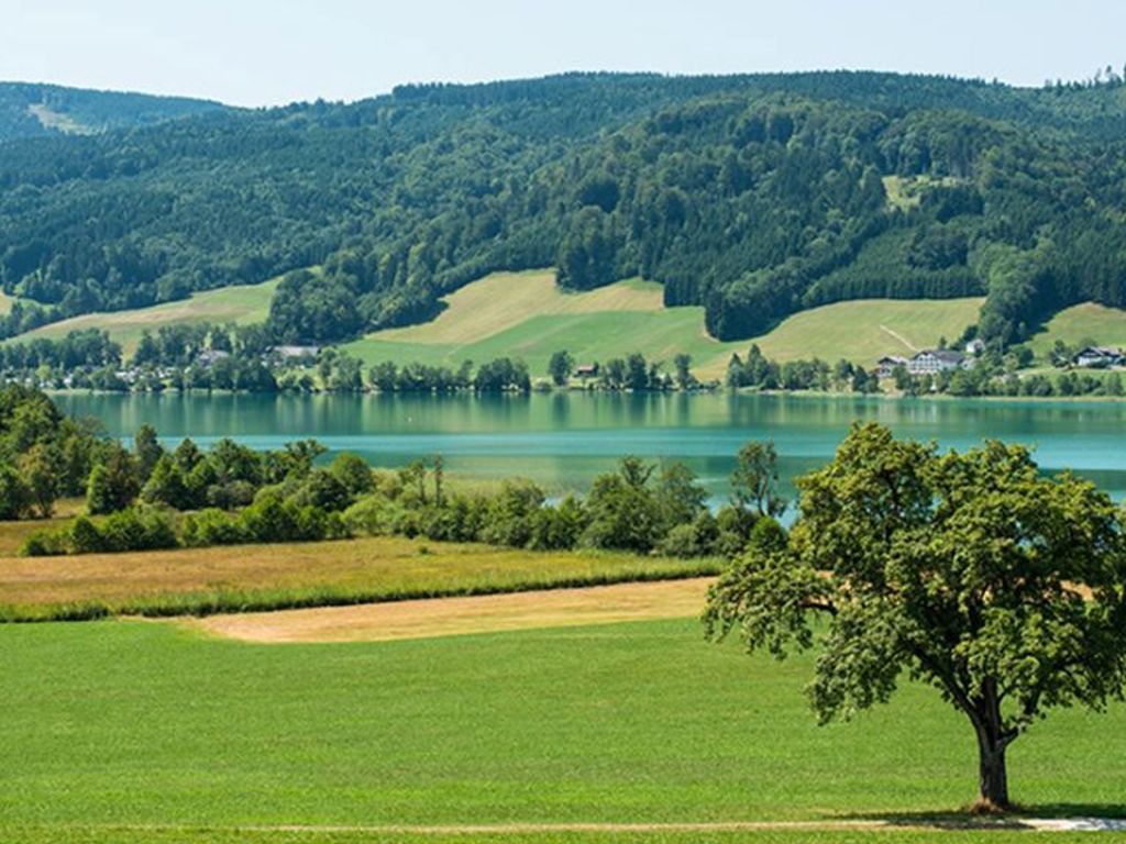 Apartment Seeblick - Krög
