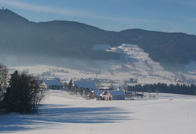 Bild 19