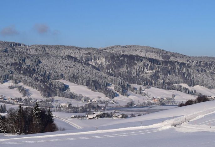 Bild 18