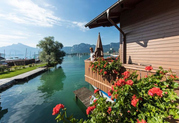 Bild 11