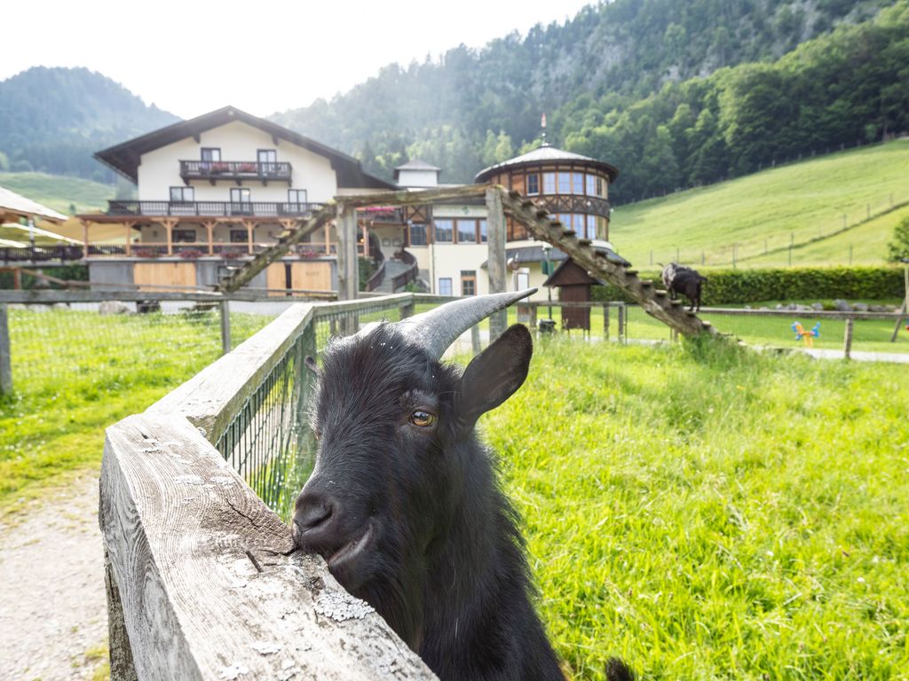 Hotel Gasthof Kleefeld