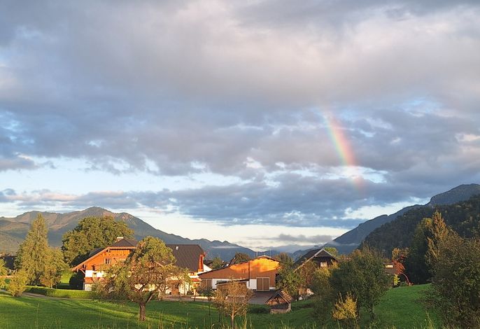 Bild 18