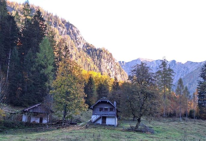 Bild 14