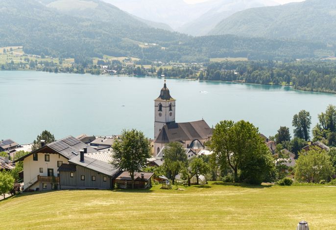 Bild 7