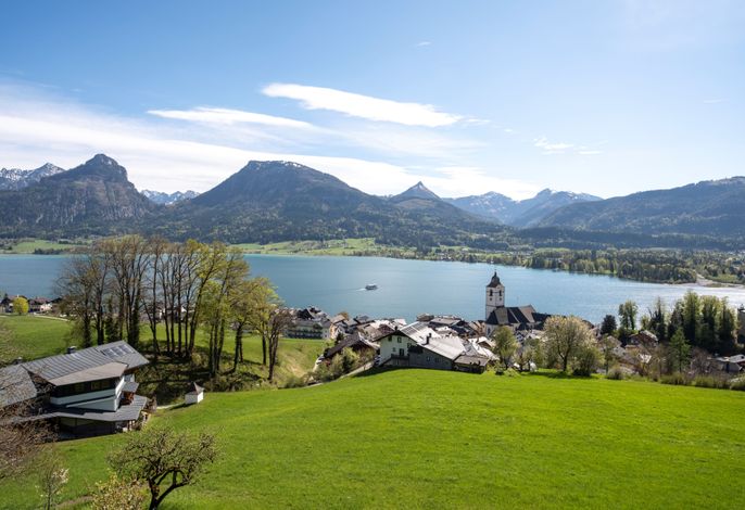 Bild 12