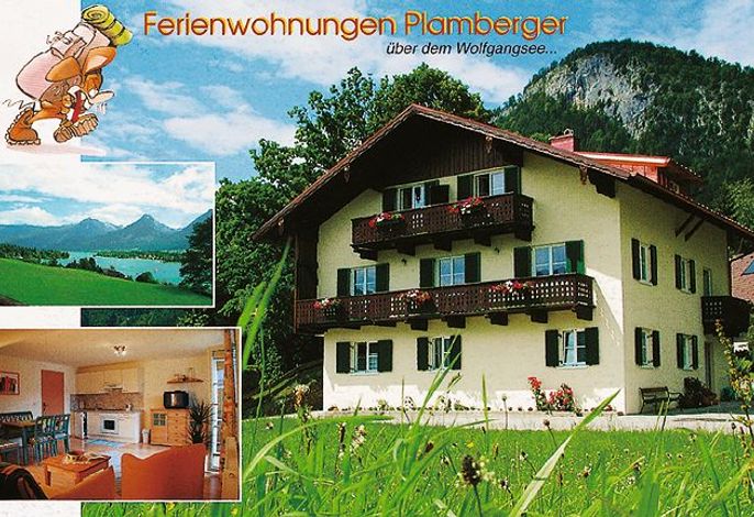 Bild 7