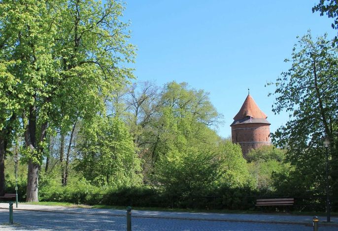 Bild 9