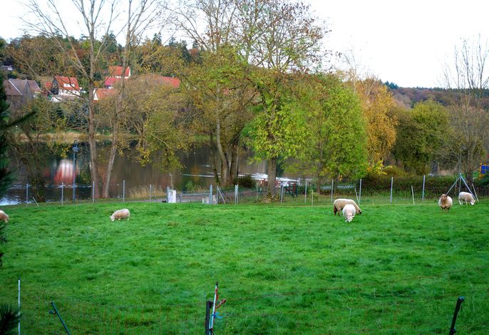 Bild 8