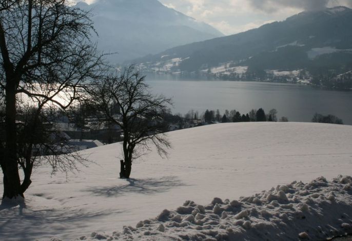 Bild 52