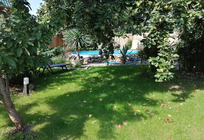 Bild 15