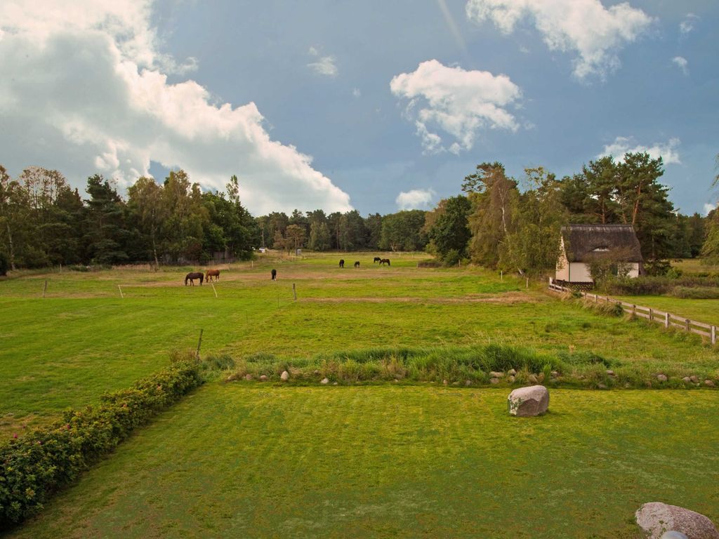 Blick von Terrasse in die Wiesen