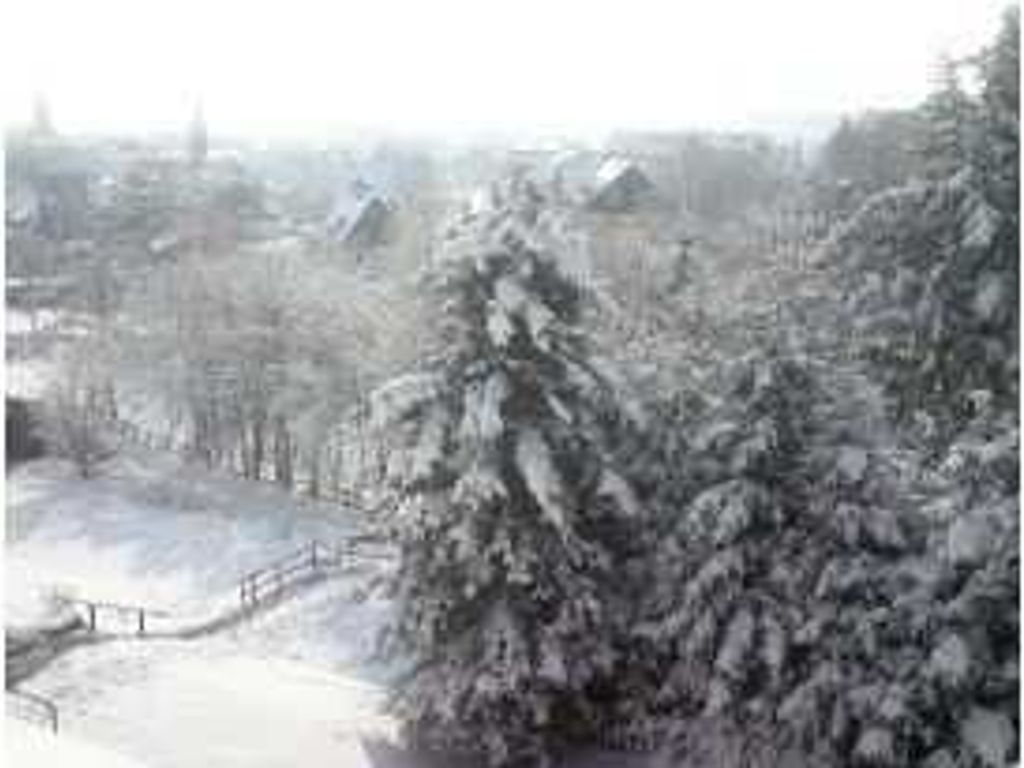 Im Winter