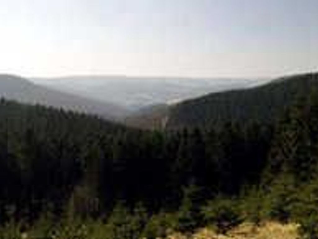 Umgebung