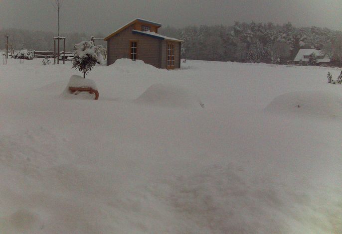 Bild 11