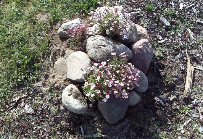 Bild 18