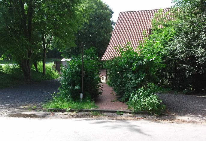 Bild 18