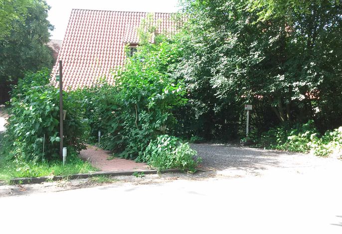 Bild 19