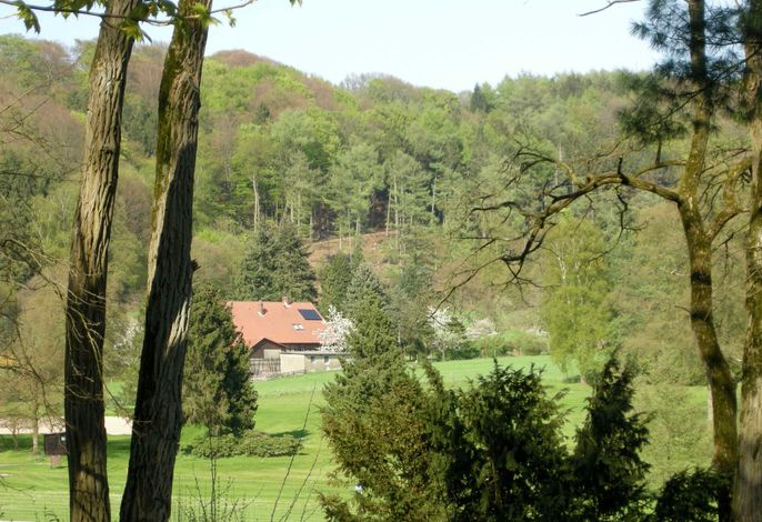 Bild 9
