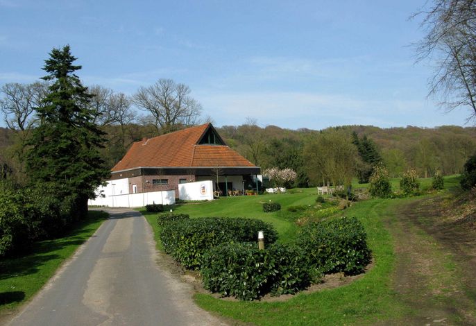 Bild 8