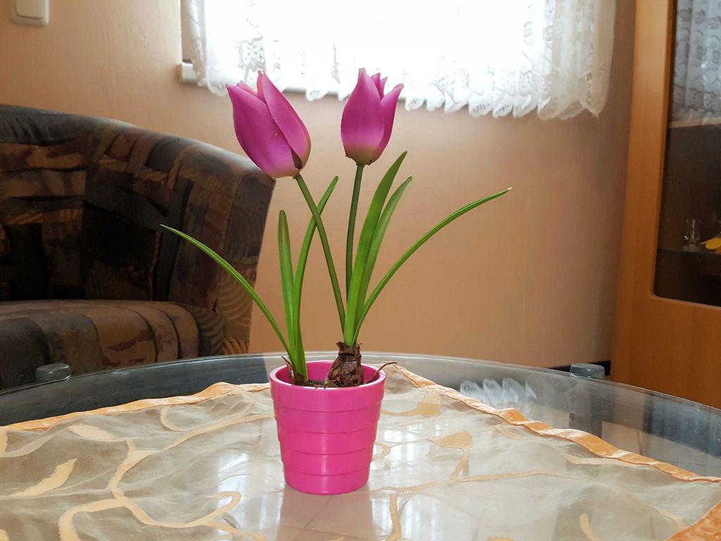 Blumendekoration im Wohnzimmer