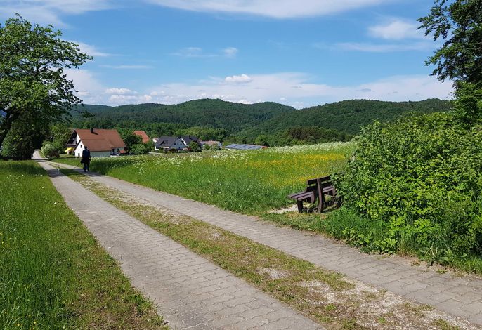 Bild 19