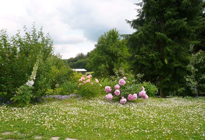Bild 14