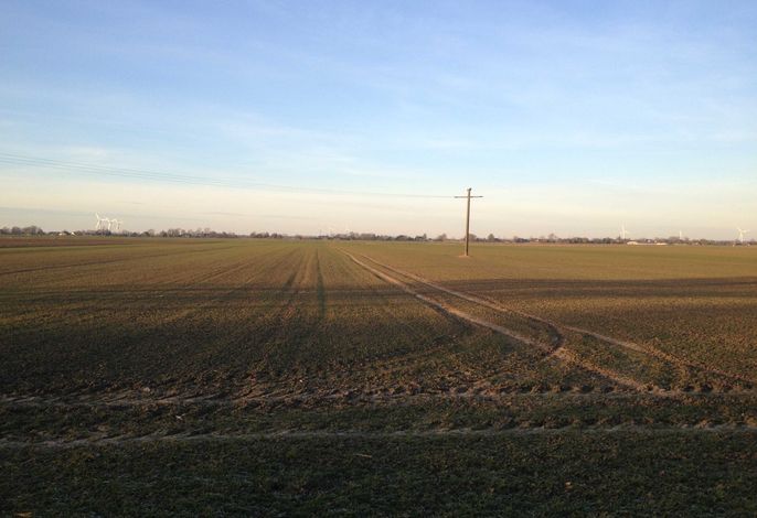 Bild 19