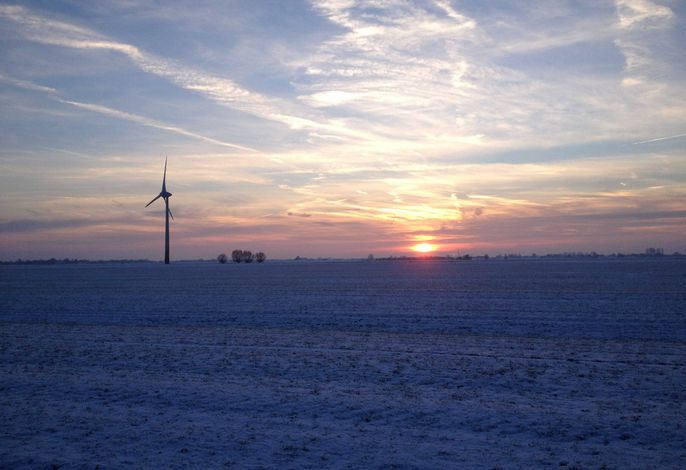 Bild 30