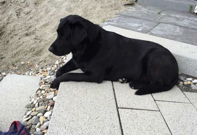 Bild 6