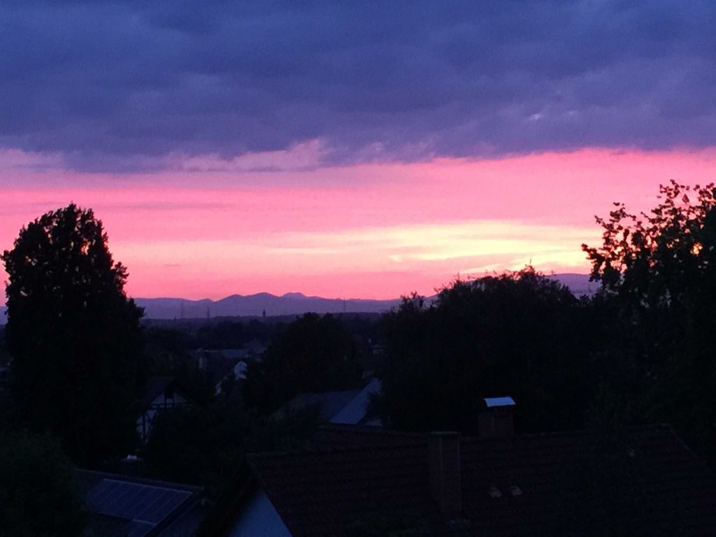 Ausblick