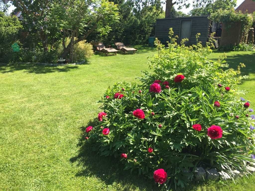 schöner Garten