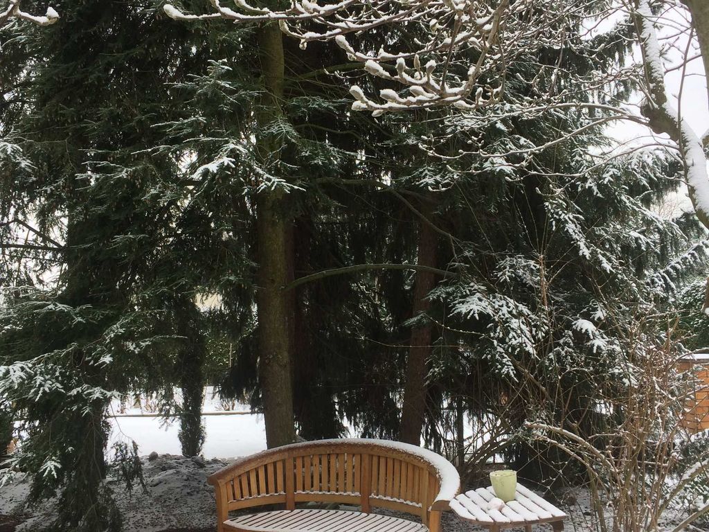 Im Schnee