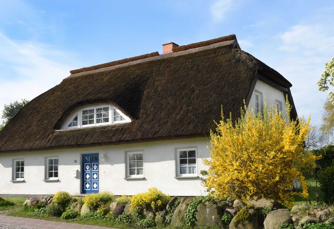 Wohnung (4)