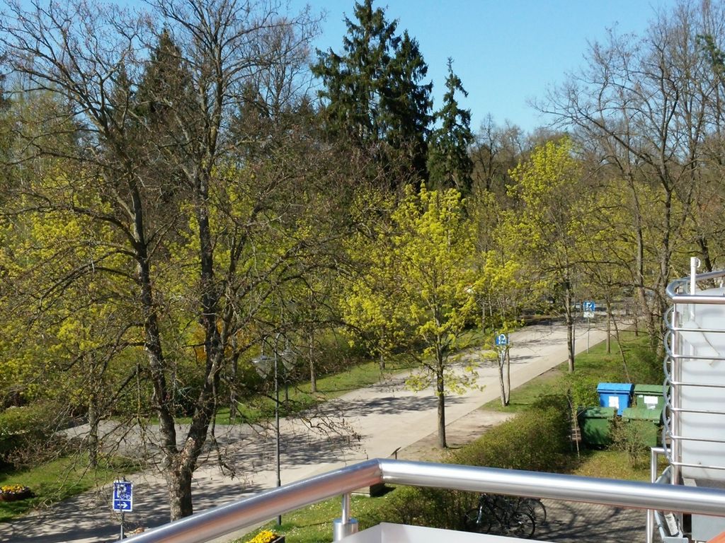 Ausblick