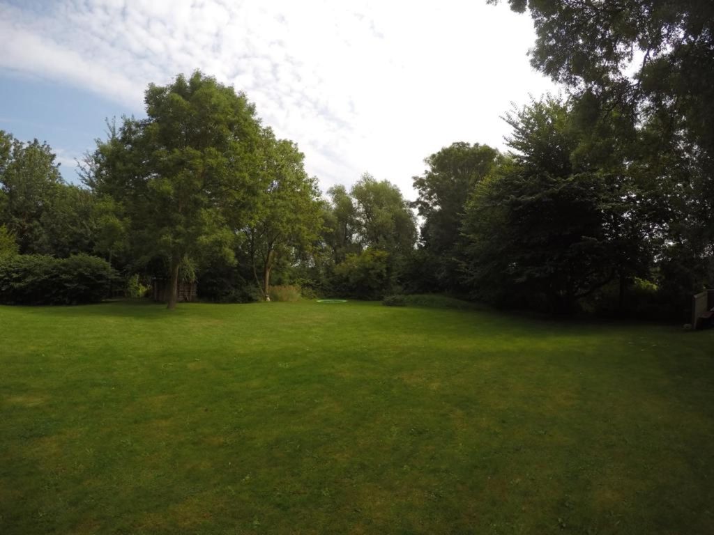 Blick in den Garten