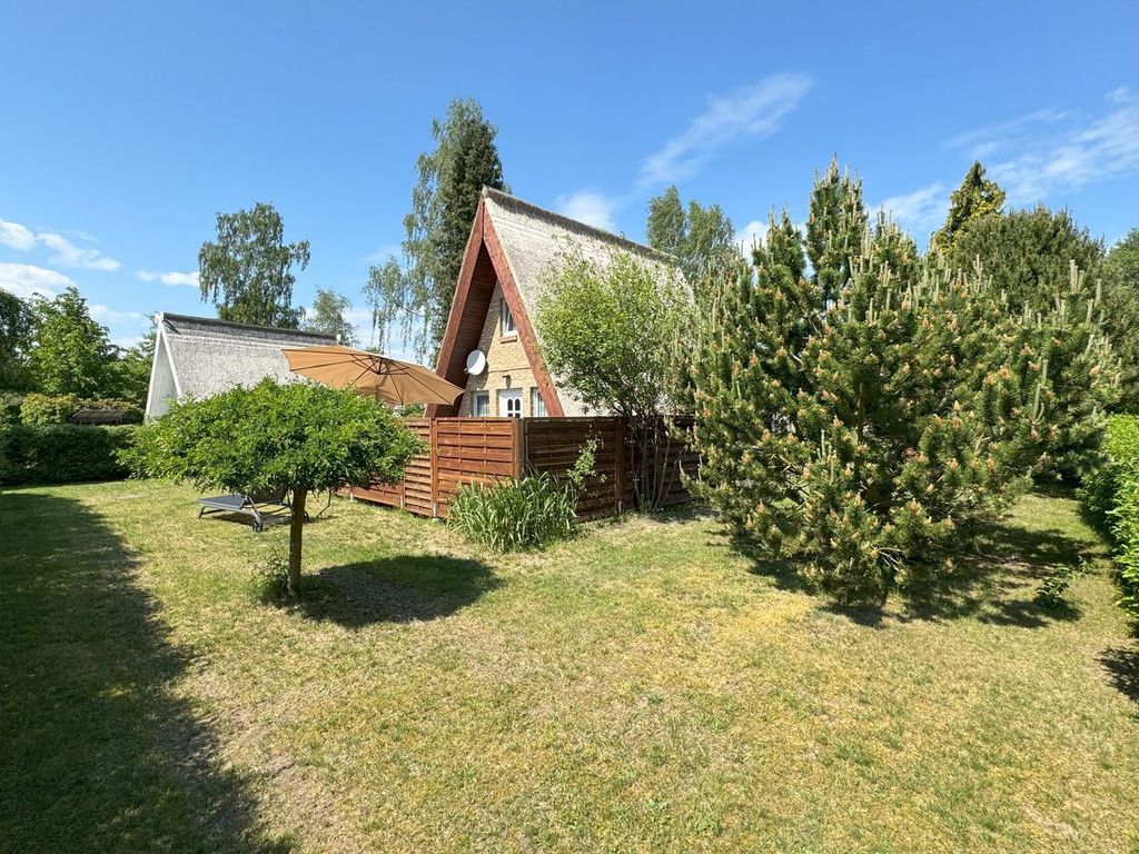 Reetdachhütte im Birkenhain