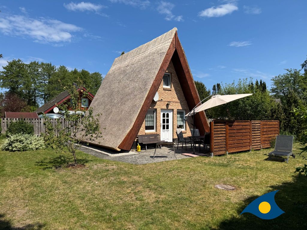 Reetdachhütte im Birkenhain