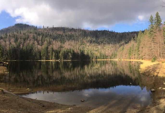 Bild 14