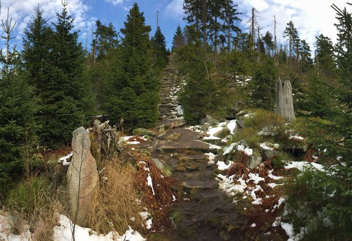 Bild 16