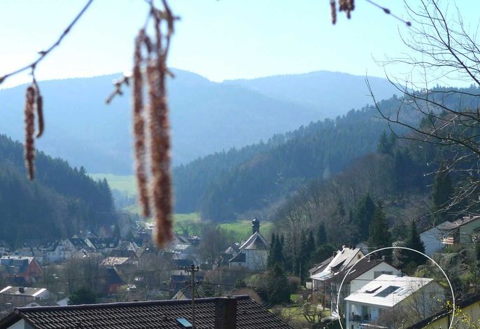 Bild 13