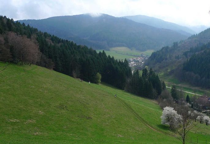 Bild 15