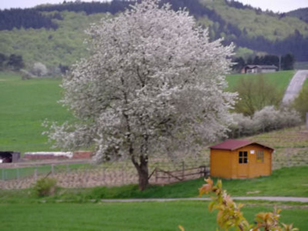 Ferienwohnung Haus Weitblick